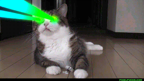 Laser Cat